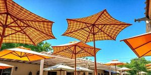 Large, colorful umbrellas provide shade over an outdoor patio area on a sunny day with a clear blue sky. Trees and part of a building are visible in the background.